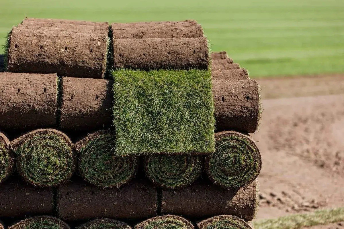 Озеленение - фото 3