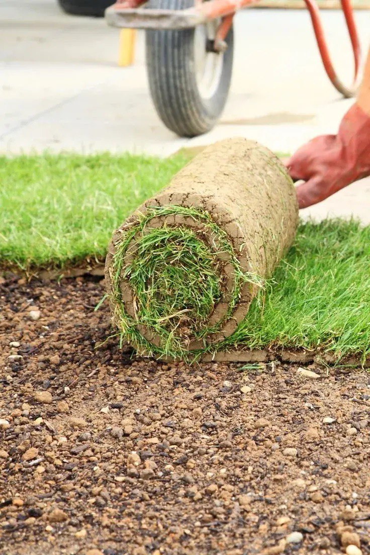 Озеленение